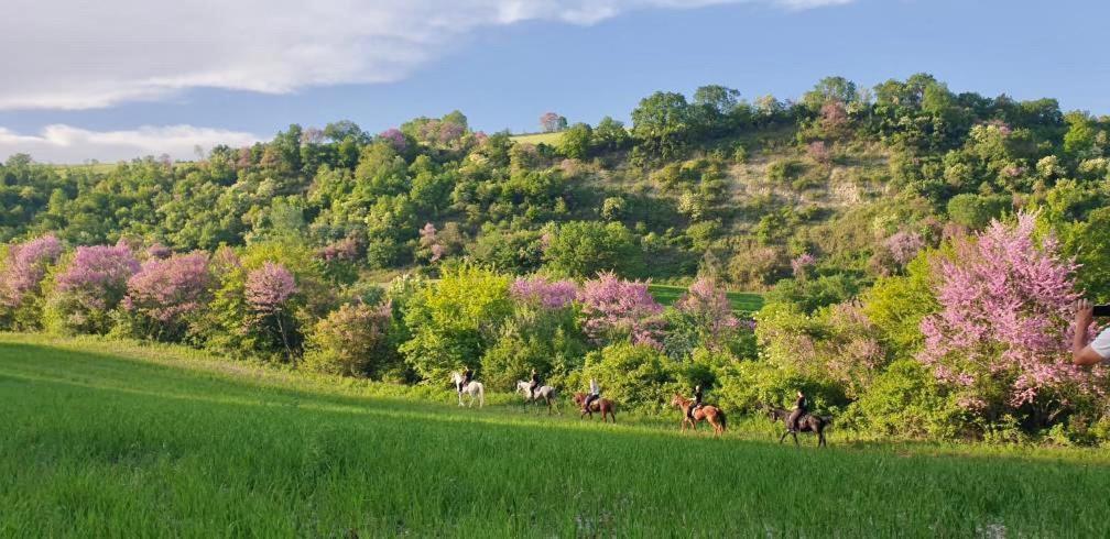 3 Hills Boutique - The Ranch Experience Hotel Trilofos Exterior foto